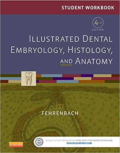 خرید و دانلود نسخه کامل کتاب Student Workbook for Illustrated Dental Embryology, Histology and Anatomy (4th Edition) – Orginal Pdf_68b99d645799d.jpeg خرید و دانلود نسخه کامل کتاب Student Workbook for Illustrated Dental Embryology, Histology and Anatomy (4th Edition) – Orginal Pdf