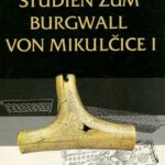 خرید و دانلود نسخه کامل کتاب Studien zum Burgwall von Mikulčice. Bd. 1
