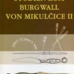 خرید و دانلود نسخه کامل کتاب Studien zum Burgwall von Mikulčice. Bd. 2