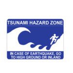 خرید و دانلود نسخه کامل کتاب Submarine Landslides and Tsunamis