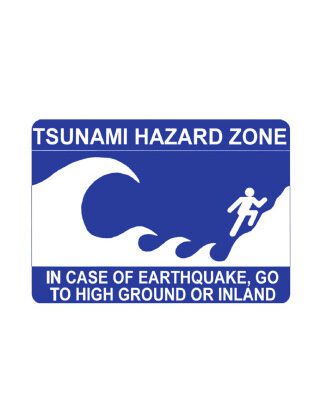 خرید و دانلود نسخه کامل کتاب Submarine Landslides and Tsunamis