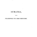 خرید و دانلود نسخه کامل کتاب Sumatra, seine Pflanzenwelt und deren Erzeugnisse
