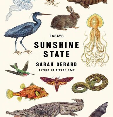 خرید و دانلود نسخه کامل کتاب Sunshine State Essays