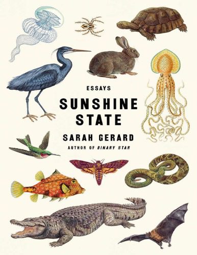 خرید و دانلود نسخه کامل کتاب Sunshine State Essays_68d29a389d247.jpeg خرید و دانلود نسخه کامل کتاب Sunshine State Essays