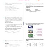 خرید و دانلود نسخه کامل کتاب Supara TYT-AYT Fizik Test Takımı 2018-19
