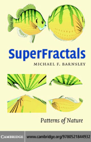 خرید و دانلود نسخه کامل کتاب SuperFractals_68bddabc126b7.jpeg خرید و دانلود نسخه کامل کتاب SuperFractals