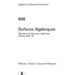 خرید و دانلود نسخه کامل کتاب Surfaces Algebriques