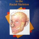 خرید و دانلود نسخه کامل کتاب Surgical Approaches to the Facial Skeleton