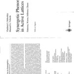 خرید و دانلود نسخه کامل کتاب Synergetic phenomena in active lattices