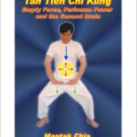 خرید و دانلود نسخه کامل کتاب Tan Tien Chi Kung