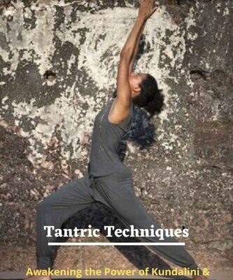 خرید و دانلود نسخه کامل کتاب Tantric Techniques: Awakening the Power of Kundalini & Chakras, Kundalini Awakening