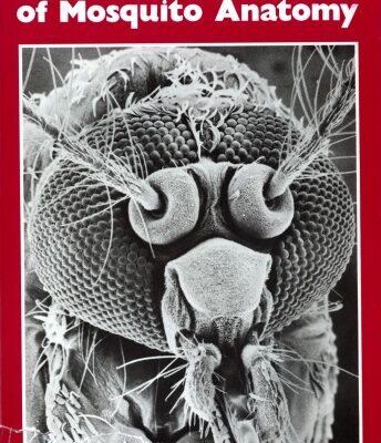 خرید و دانلود نسخه کامل کتاب Taxonomists’ Glossary of Mosquito Anatomy