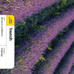 خرید و دانلود نسخه کامل کتاب Teach Yourself French: Complete Course