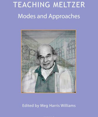 خرید و دانلود نسخه کامل کتاب Teaching Meltzer: Modes and Approaches