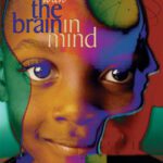 خرید و دانلود نسخه کامل کتاب Teaching With the Brain in Mind