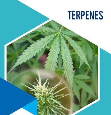 خرید و دانلود نسخه کامل کتاب Terpenes