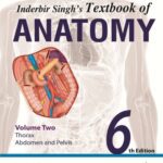 خرید و دانلود نسخه کامل کتاب Textbook of Anatomy