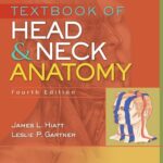 خرید و دانلود نسخه کامل کتاب Textbook of Head & Neck Anatomy