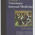 خرید و دانلود نسخه کامل کتاب Textbook of Veterinary Internal Medicine, 6th Edition (2 Volume Set)