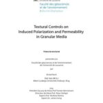 خرید و دانلود نسخه کامل کتاب Textural controls on Induced Polarization and permeability in granular media