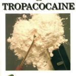 خرید و دانلود نسخه کامل کتاب THC & Tropacocaine