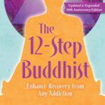 خرید و دانلود نسخه کامل کتاب The 12-Step Buddhist 10th Anniversary Edition