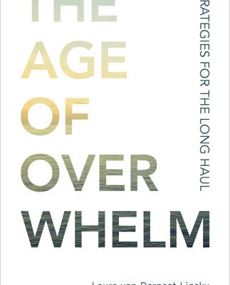 خرید و دانلود نسخه کامل کتاب The Age of Overwhelm: Strategies for the Long Haul