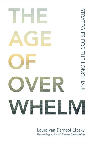 خرید و دانلود نسخه کامل کتاب The Age of Overwhelm: Strategies for the Long Haul_68d01d1f80251.jpeg خرید و دانلود نسخه کامل کتاب The Age of Overwhelm: Strategies for the Long Haul
