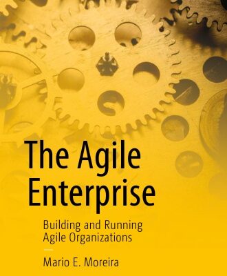 خرید و دانلود نسخه کامل کتاب The Agile Enterprise: Building and Running Agile Organizations