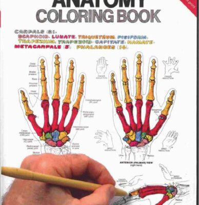 خرید و دانلود نسخه کامل کتاب The Anatomy Coloring Book (2nd Edition)