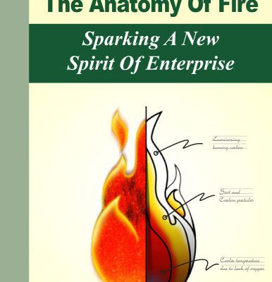 خرید و دانلود نسخه کامل کتاب The Anatomy Of Fire – Sparking A New Spirit Of Enterprise — Leadership In The 21st Century