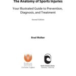 خرید و دانلود نسخه کامل کتاب The Anatomy of Sports Injuries, Your Illustrated Guide to Prevention, Diagnosis, and Treatment