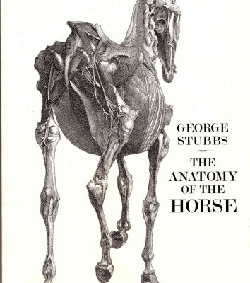 خرید و دانلود نسخه کامل کتاب The Anatomy of the Horse