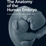 خرید و دانلود نسخه کامل کتاب The Anatomy of the Human Embryo: A Scanning Electron-Microscopic Atlas