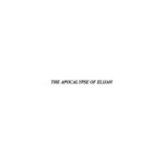 خرید و دانلود نسخه کامل کتاب The Apocalypse of Elijah: Based on P. Chester Beatty 2018 (Pseudepigrapha series)