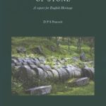 خرید و دانلود نسخه کامل کتاب The Archaeology of Stone: A Report for English Heritage