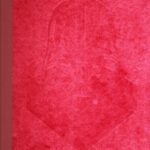 خرید و دانلود نسخه کامل کتاب The art of Star wars, episode III, revenge of the Sith