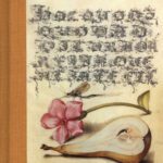 خرید و دانلود نسخه کامل کتاب The Art of the Pen: Calligraphy from the Court of the Emperor Rudolf II