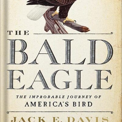 خرید و دانلود نسخه کامل کتاب The Bald Eagle: The Improbable Journey of America’s Bird by Jack E. Davis