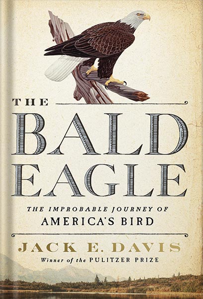 خرید و دانلود نسخه کامل کتاب The Bald Eagle: The Improbable Journey of America’s Bird by Jack E. Davis_68c03abb219a7.jpeg خرید و دانلود نسخه کامل کتاب The Bald Eagle: The Improbable Journey of America’s Bird by Jack E. Davis