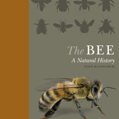 خرید و دانلود نسخه کامل کتاب The Bee: A Natural History