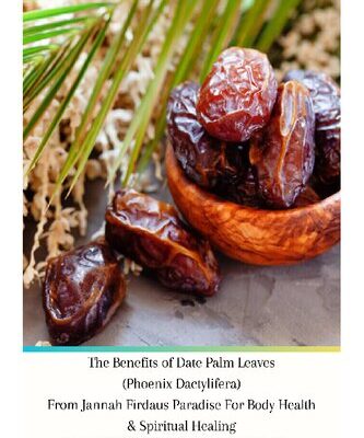 خرید و دانلود نسخه کامل کتاب The Benefits of Date Palm Leaves (Phoenix Dactylifera) From Jannah Firdaus Paradise For Body Health & Spiritual Healing