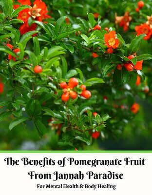 خرید و دانلود نسخه کامل کتاب The Benefits of Pomegranate Fruit from Jannah Paradise For Mental Health & Body Healing