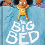 خرید و دانلود نسخه کامل کتاب The Big Bed by Bunmi Laditan