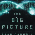 خرید و دانلود نسخه کامل کتاب The big picture : on the origins of life, meaning, and the universe itself