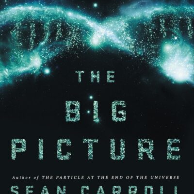 خرید و دانلود نسخه کامل کتاب The Big Picture. On the Origins of Life, Meaning, and the Universe Itself