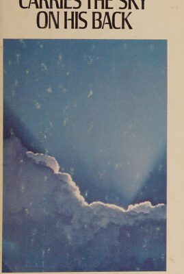 خرید و دانلود نسخه کامل کتاب The Bluebird Carries the Sky on His Back