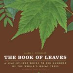 خرید و دانلود نسخه کامل کتاب The Book of Leaves: A Leaf-by-Leaf Guide to Six Hundred of the World’s Great Trees
