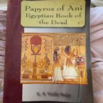 خرید و دانلود نسخه کامل کتاب The book of the dead Egyptian Religion