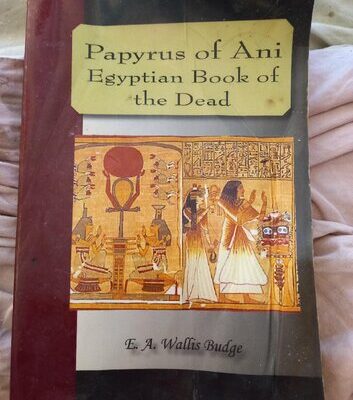 خرید و دانلود نسخه کامل کتاب The book of the dead Egyptian Religion